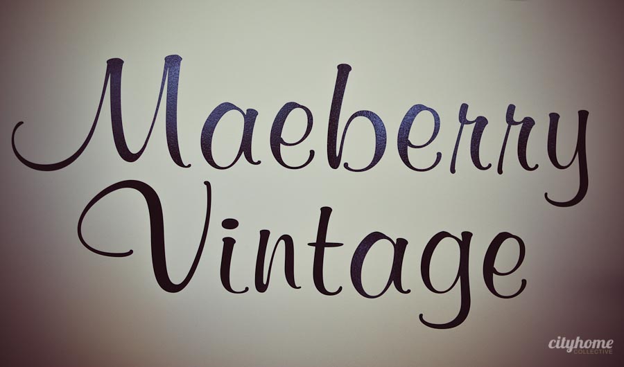Maeberry-Vintage-Salt-Lake-Local-Boutique-Business-1