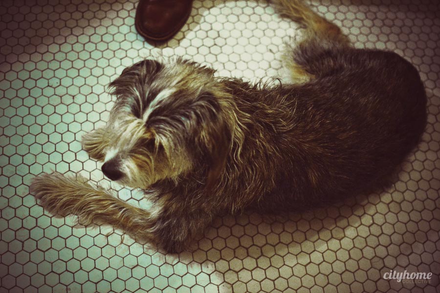 Sugar-House-Libations-Hot-Toddy-Salt-Lake-Business-54