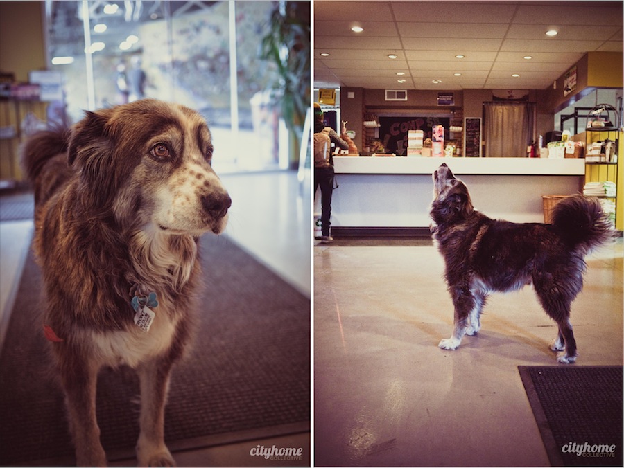 The-Front-Climbing-Gym