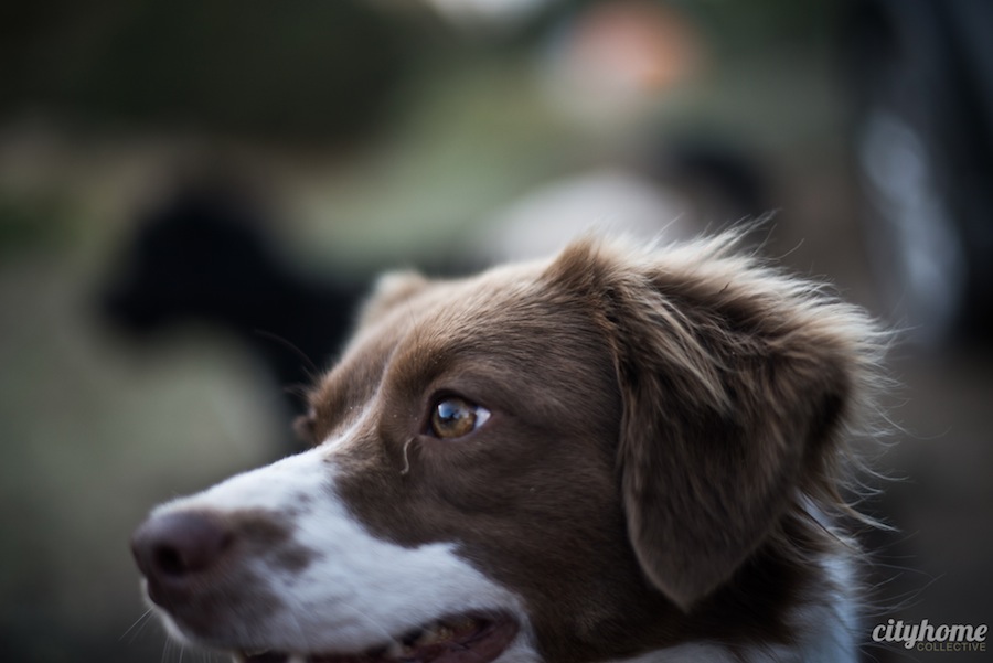 weekenders-joes-valley-15