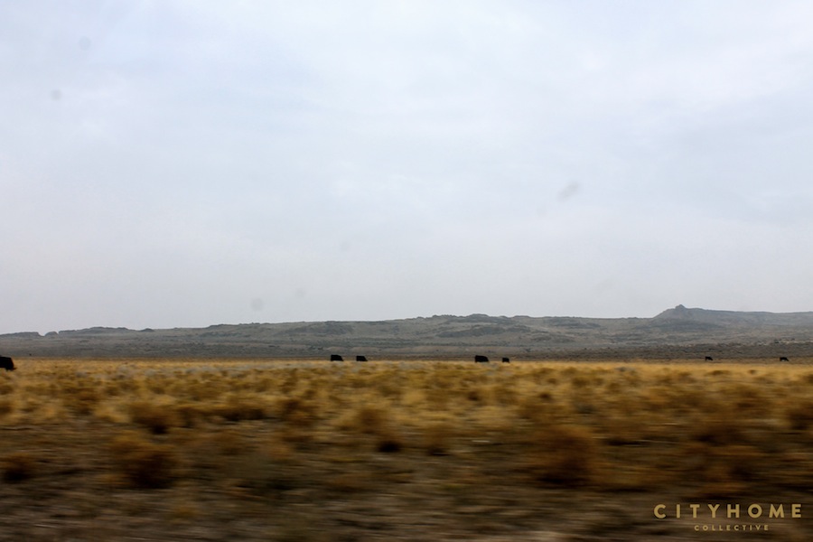 spiral-jetty-weekenders-3