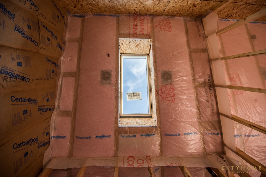 1619-roosevelt-teaser-12