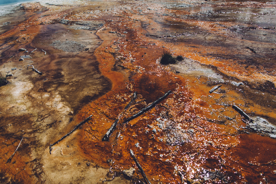 YellowstoneUnderCanvas-394