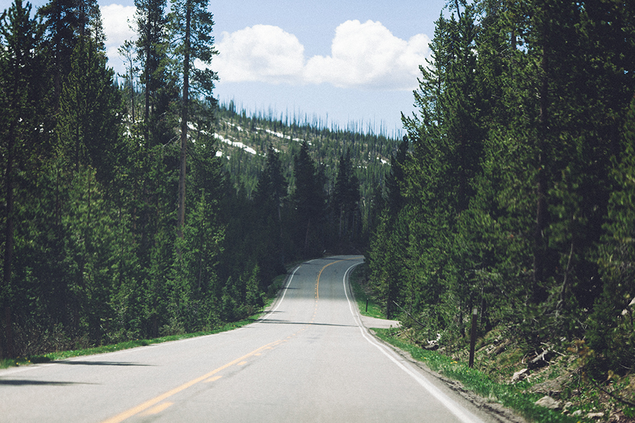 YellowstoneUnderCanvas-399